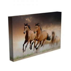 TABLOU FRE HORSES