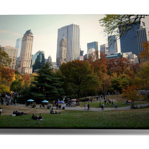 TABLOU CENTRAL PARK