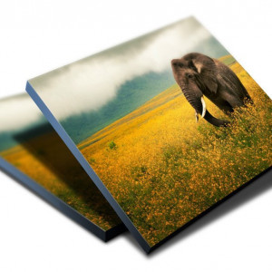 TABLOU BARRUS 2