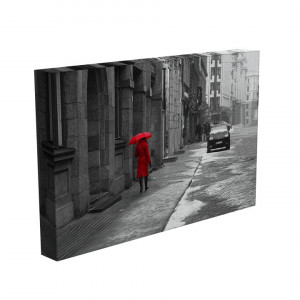 TABLOU LADY IN RED