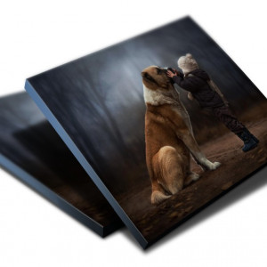 TABLOU AMICUS 2