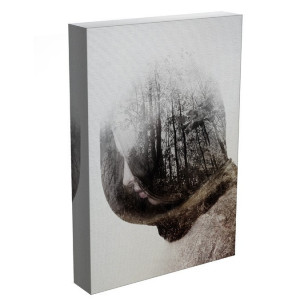 TABLOU THE BEAUTY OF NATURE 2