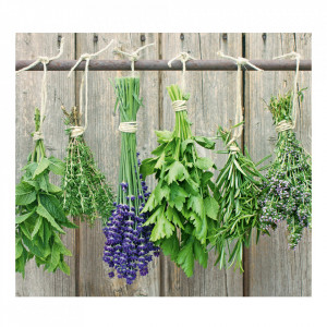 Panou antistropire multicolor din sticla pentru perete 50x56 cm Herbs Zeller