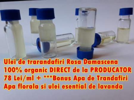 ulei de trandafiri rosa Damascena