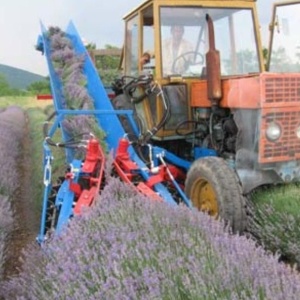 Utilaje de recoltat Lavanda MKL 3