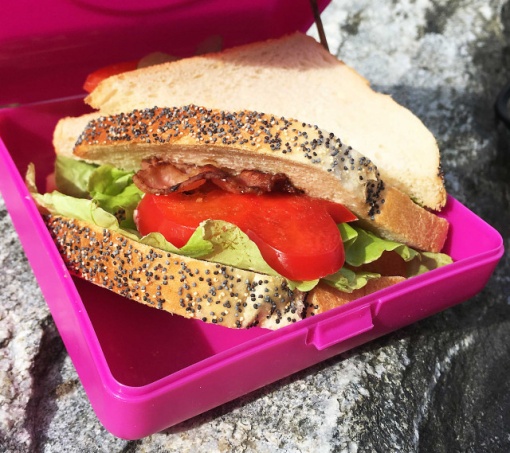 Caserola sandwich, Carl Oscar, culoarea bleu