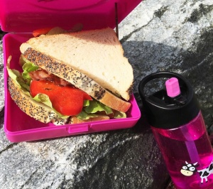 Caserola sandwich, Carl Oscar, culoarea mov