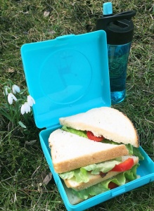 Caserola sandwich, Carl Oscar, culoarea bleu