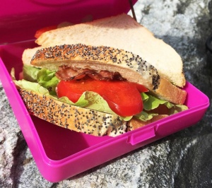 Caserola sandwich, Carl Oscar, culoarea gri