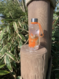 Sticla din Tritan bebelusi, WisdomFlask orange, Carl Oscar