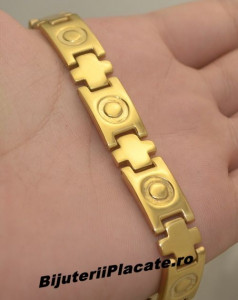 Bratara Inox Aurie Cod B941