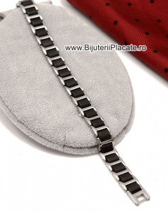 Bratara Inox -- B948G