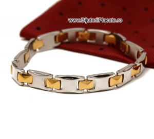 Bratara Inox In Doua Culori Moderna B883G