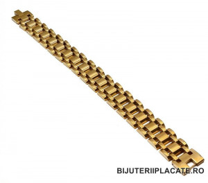 Bratara Aurie Inox - SOLIDA- cod B870