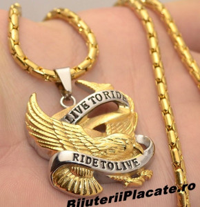 Lant inox si Medalion --- LIVE TO RIDE--RIDE TO LIVE --- LC95