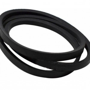 Curea 1243 H8 masina de spalat