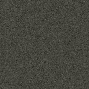 Linoleum Covor PVC Tarkett Covor PVC Ruby 70 - Nature BLACK