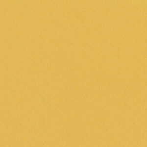 Linoleum Tarkett ETRUSCO xf²™ (2.5 mm) - Etrusco YELLOW 036