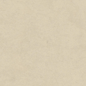 Linoleum Tarkett STYLE EMME xf²™ (2.5 mm) - Style Emme MATERIA 200