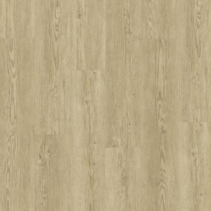 Linoleum Covor PVC Tarkett Pardoseala LVT STARFLOOR CLICK 55 & 55 PLUS - Brushed Pine NATURAL