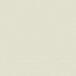 Linoleum Covor PVC Tarkett tapet PROTECTWALL 2CR (CLEAN ROOMS) - Uni LIGHT BEIGE