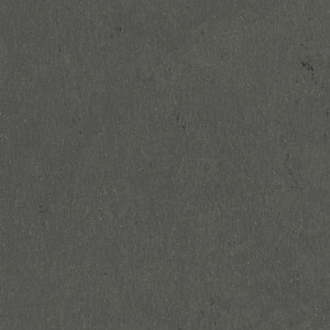 Linoleum Tarkett STYLE EMME xf²™ (2.5 mm) - Style Emme ASFALTO 207