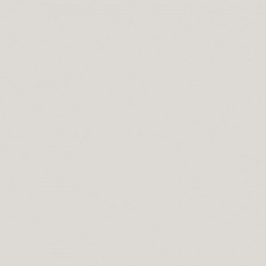 Linoleum Covor PVC Tarkett tapet PROTECTWALL 2CR (CLEAN ROOMS) - Uni LIGHT GREY
