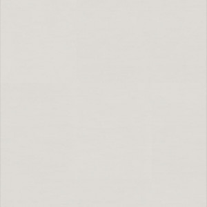 Linoleum Covor PVC Tarkett Tapet WALLGARD - Wallgard WHITE GREY
