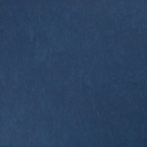 Tarkett Linoleum STYLE EMME xf²™ (2.5 mm) - Style Emme BLUE 220