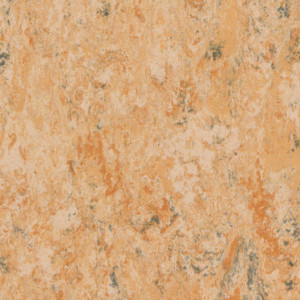 Tarkett Linoleum Veneto xf2 Bfl - Veneto CAMEL 616