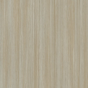 Linoleum Covor PVC Tarkett ACCZENT EXCELLENCE 80 - Allover Wood GREGE