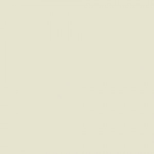 Linoleum Covor PVC Tarkett tapet PROTECTWALL (1.5 mm) - Uni LIGHT BEIGE