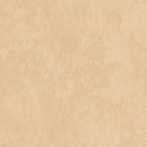 Linoleum Tarkett STYLE EMME xf²™ (2.5 mm) - Style Emme SABBIA 208