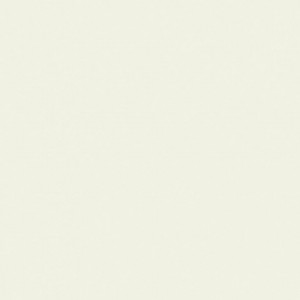 Linoleum Covor PVC Tarkett tapet PROTECTWALL 2CR (CLEAN ROOMS) - Uni SUPER WHITE