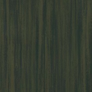 Linoleum Tarkett Originale Essenza 2.5 mm - Vegetale NUTMEG 450