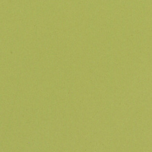 Linoleum Tarkett ETRUSCO xf²™ (2.5 mm) - Etrusco ANISE 095