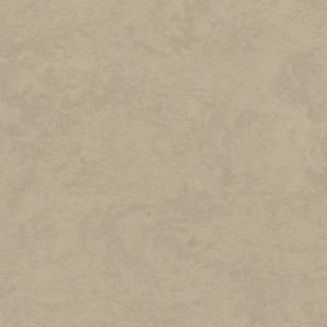 Linoleum Tarkett STYLE EMME xf²™ (2.5 mm) - Style Emme CENERE 201