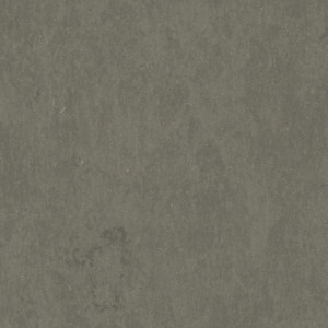Tarkett Linoleum STYLE EMME SILENCIO xf²™ 18 dB - Style Emme FERRO 205