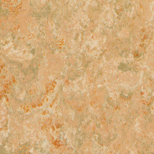 Tarkett Linoleum Veneto xf2 Bfl - Veneto CITRINE 631