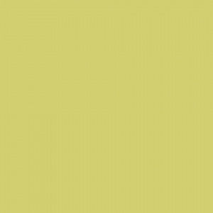 Linoleum Covor PVC Tarkett Covor PVC TAPIFLEX EXCELLENCE 80 - Uni BRIGHT ANIS