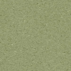 Linoleum Covor PVC Tarkett IQ Granit - FERN 0405