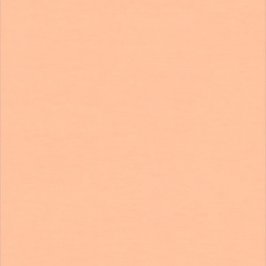 Linoleum Covor PVC Tarkett Tapet WALLGARD - Wallgard ORANGE