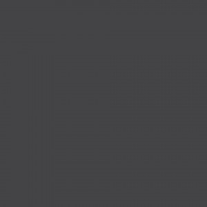 Tarkett Covor PVC ACCZENT EXCELLENCE 80 - Uni BLACK