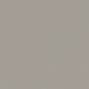 Tarkett Covor PVC ACCZENT EXCELLENCE 80 - Uni DARK BEIGE