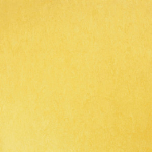 Tarkett Linoleum STYLE EMME SILENCIO xf²™ 18 dB - Style Emme GIALLO 219