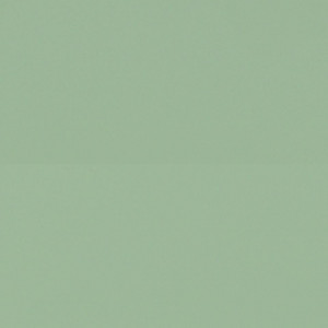 Linoleum Tarkett ETRUSCO xf²™ (2.5 mm) - Etrusco CHINCHILLA 007