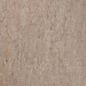 Tarkett Linoleum Veneto xf2 Bfl - Veneto FOSSIL 502