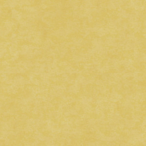Linoleum Covor PVC Tarkett Covor PVC TAPIFLEX ESSENTIAL 50 - Stamp YELLOW