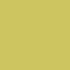 Linoleum Covor PVC Tarkett tapet PROTECTWALL (1.5 mm) - Uni BRIGHT ANIS