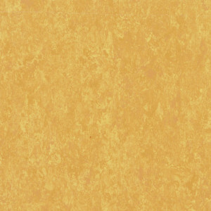 Tarkett Pardoseala Sportiva Linoleum LINOSPORT xf²™ - Veneto SUNFLOWER 628